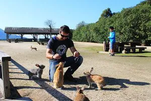 Visit Rabbit Island Japan