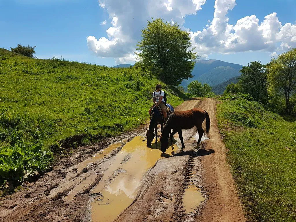 Horse riding in Dilijan Armenia