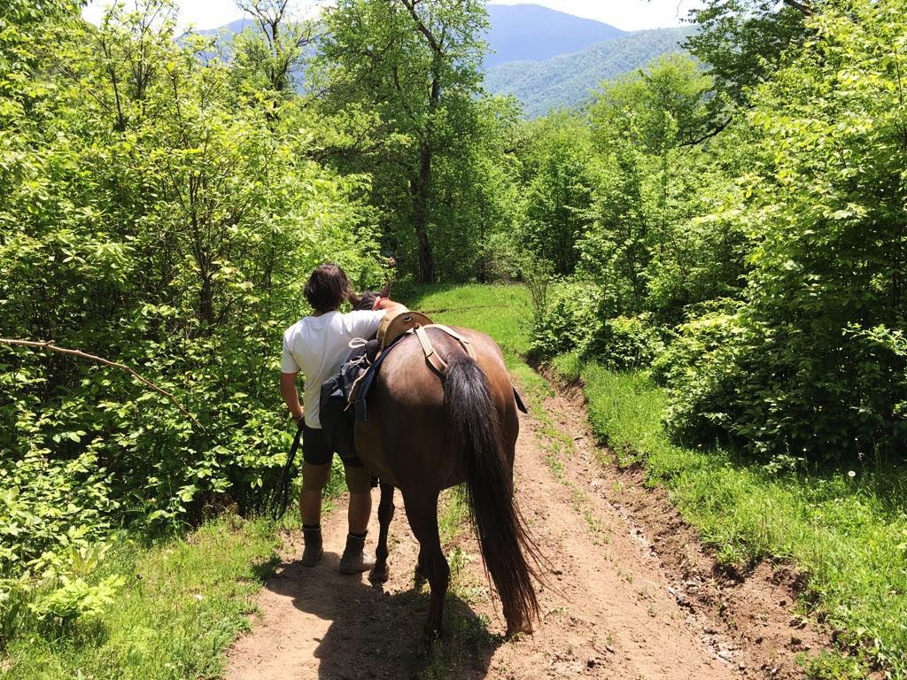 Horse riding in Dilijan Armenia