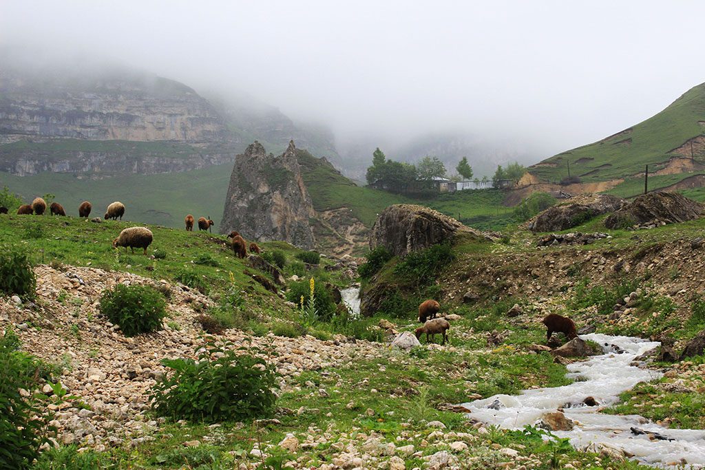 Laza Azerbaijan guide