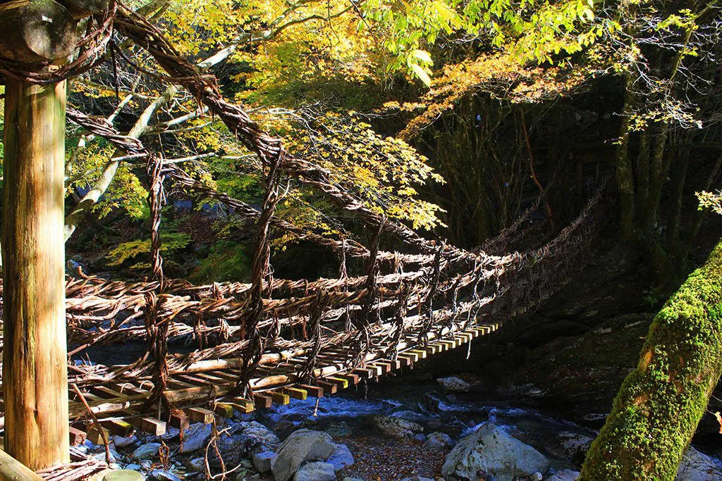 Iya Valley double vine bridge