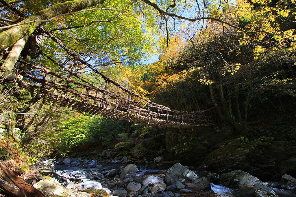 How to visit the iya valley vine bridge japan guide