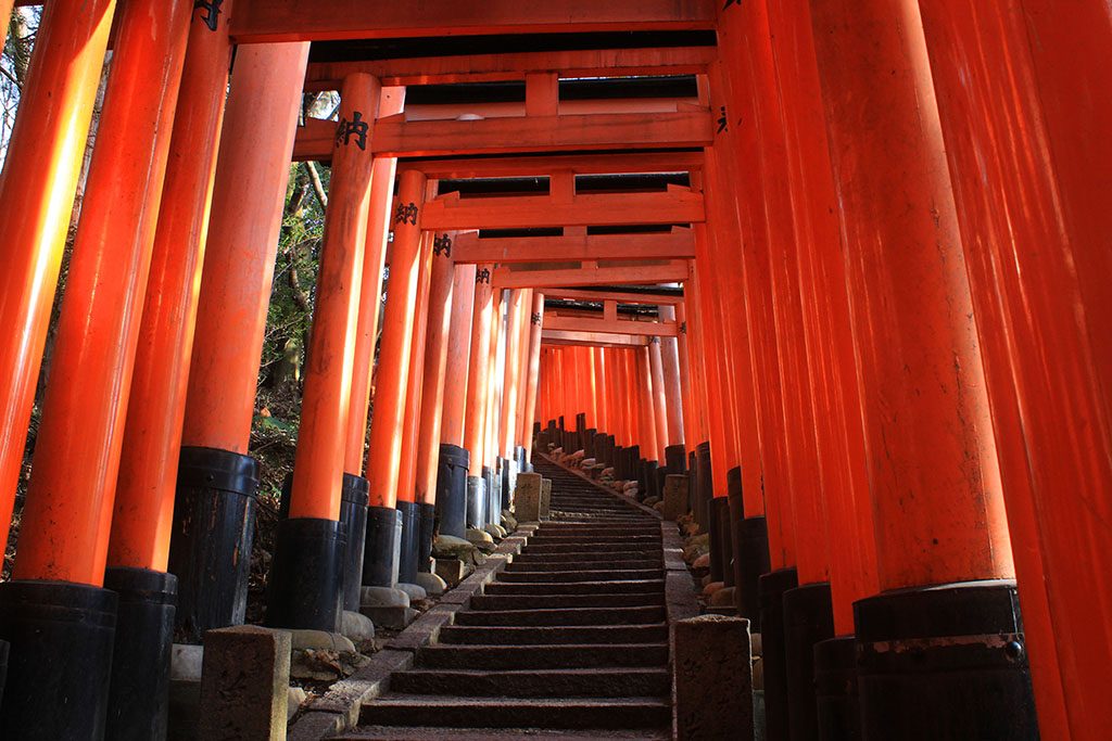 The Red Gates of Fushimi Inari Japan