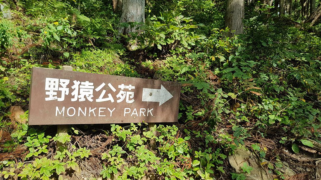 This way to the Snow Monkey Park