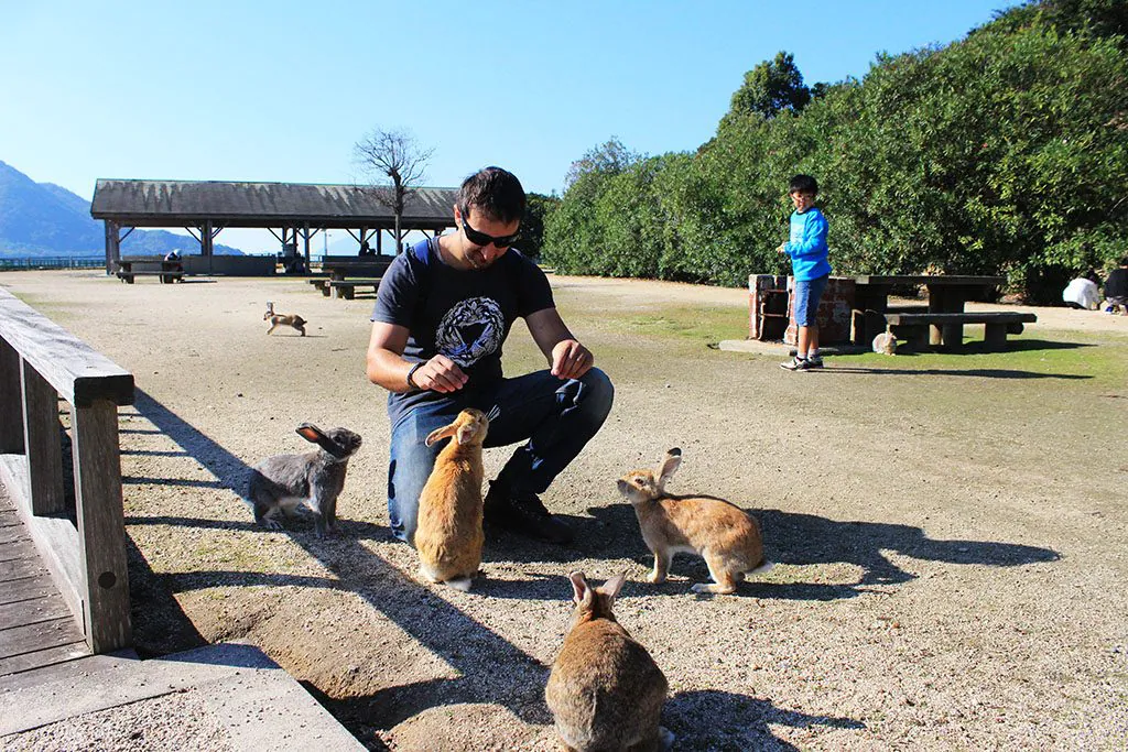 Guide how to visit Japan's cute rabbit island