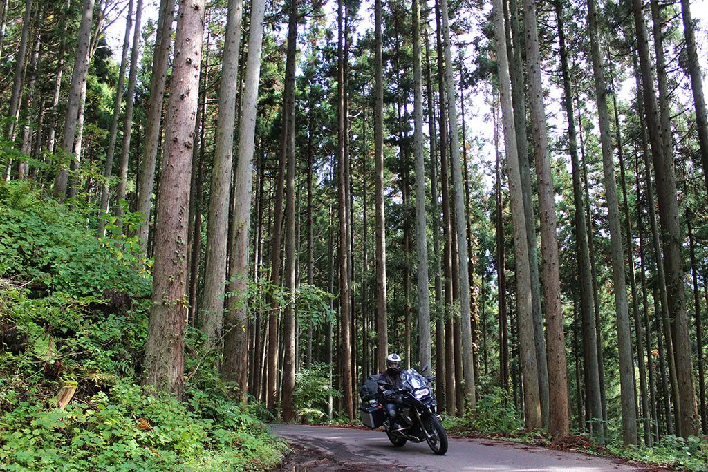 How to ride a motorcycle in Japan