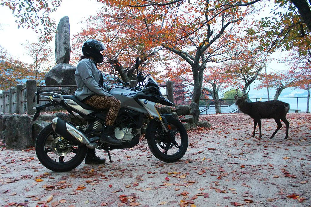BMW G310GS in Japan autumn with a deer Motorcycle Travel Japan