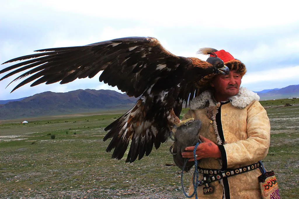 Eagle hunter in Mongolia with his eagle