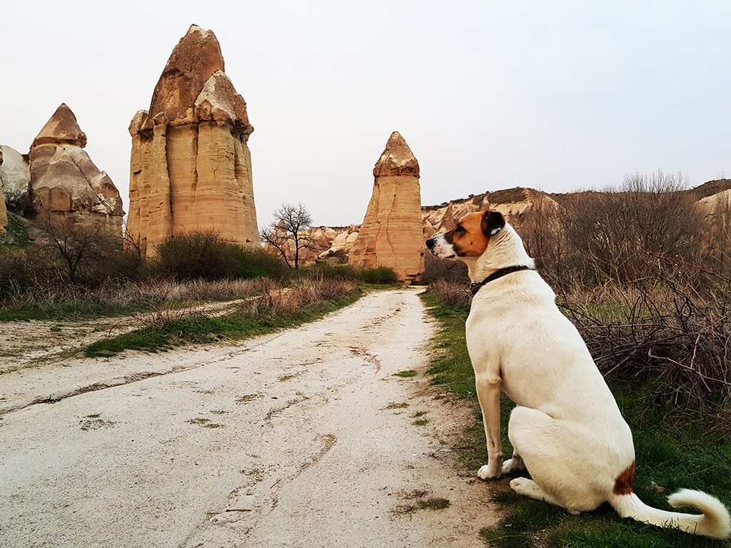 Walking through Love Valley Cappadocia