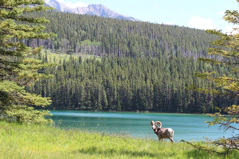 Beauty of BC Canada