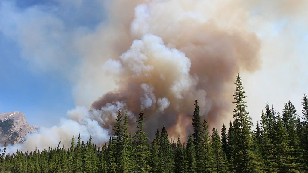 British Colombia Forest Fire