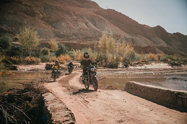 Desert Rat Tours Morocco