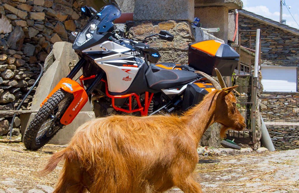 Portugal Motorcycle Travel and Tour Guides bike and goat