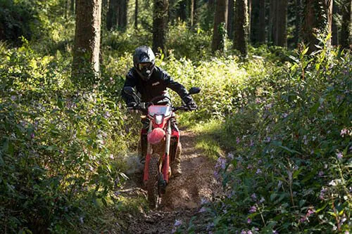 Dave Thorpe Honda Off Road Centre