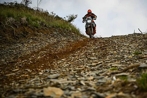 Sweet-Lamb-Training Off Road School