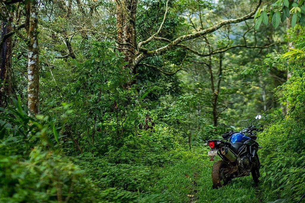 Triumph Tiger 800 XCX Review Banner