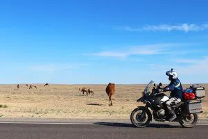 The Best Motorcycle Hard Panniers
