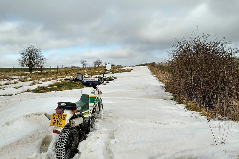 James' Serow in the snow on the UK TET near Devizes