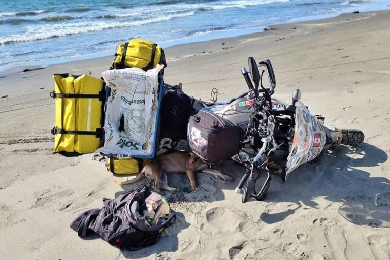 Tracy Charles Riding With Roo Round the World Motorcycle Trip with Dog Pillion