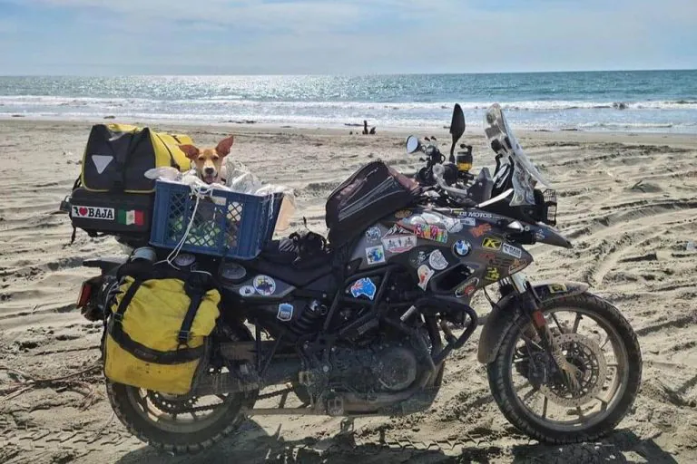 Tracy Charles Riding With Roo Round the World Motorcycle Trip with Dog Pillion