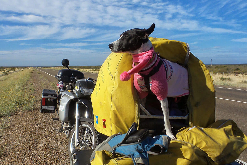 How to Motorcycle Travel with a Dog