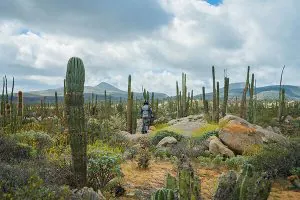 Motorcycle Adventure Travel in Mexico - Mad or Nomad