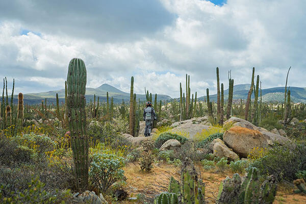 Motorcycle Adventure Travel in Mexico - Mad or Nomad