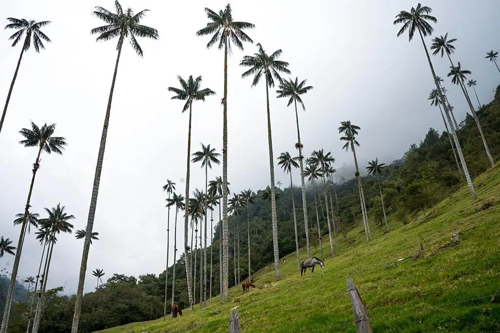 Motorcycle Travel Colombia Mad or Nomad