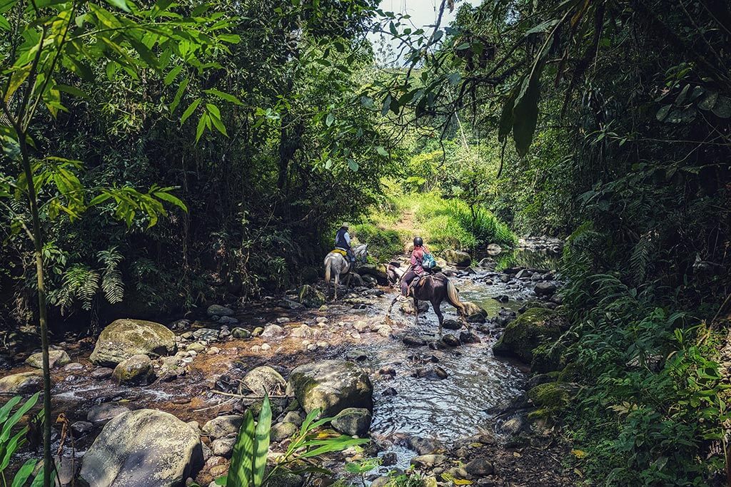 How to Go Horse Riding in Colombia