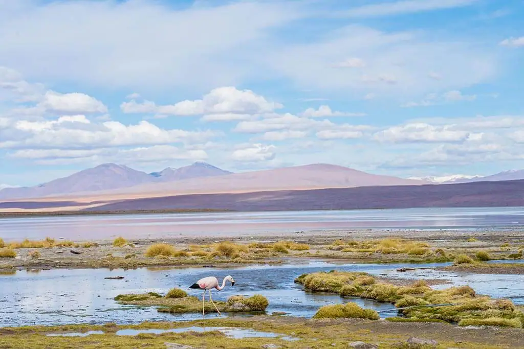 Ruta de las Lagunas Motorcycle Travel Bolivia