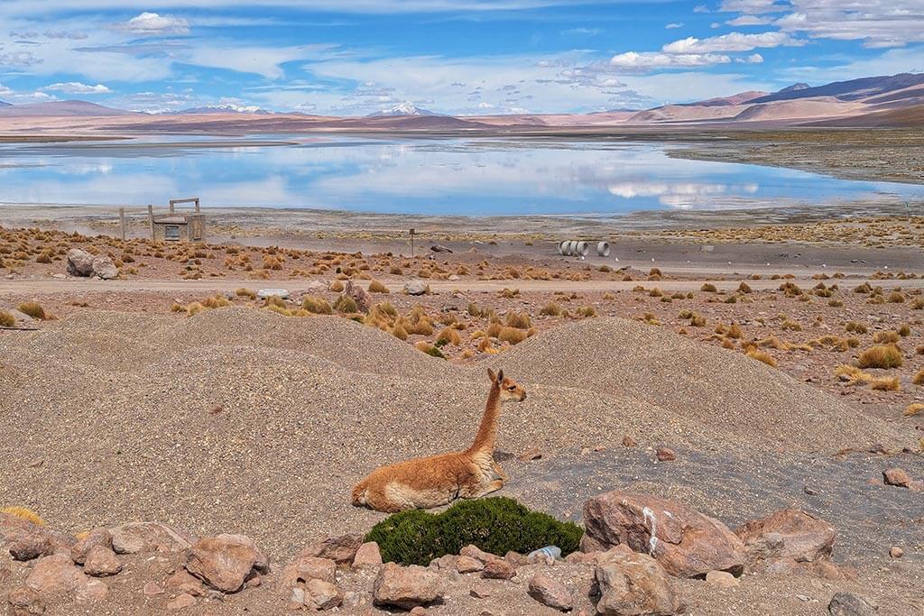 Ruta de las Lagunas Motorcycle Travel Bolivia