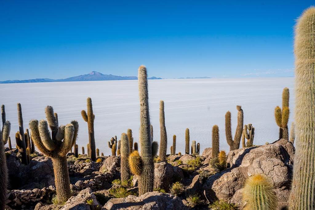 Uyuni Salt Flats Motorcycle Travel Bolivia