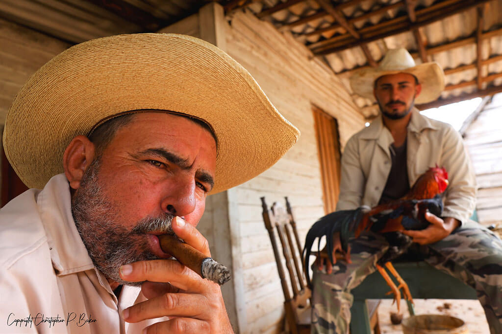 Tobacco farmers with gamecock, Vinales, Cuba Motorcycle Travel