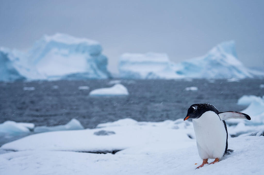 Antarctica