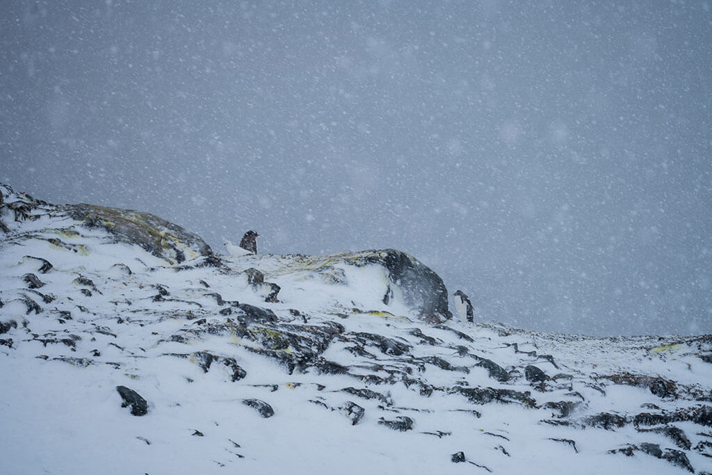 Antarctica landscapes