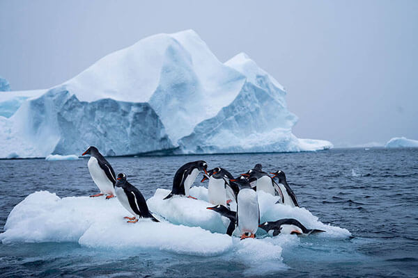 Antarctica Packing Guide