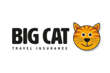 Big Cat