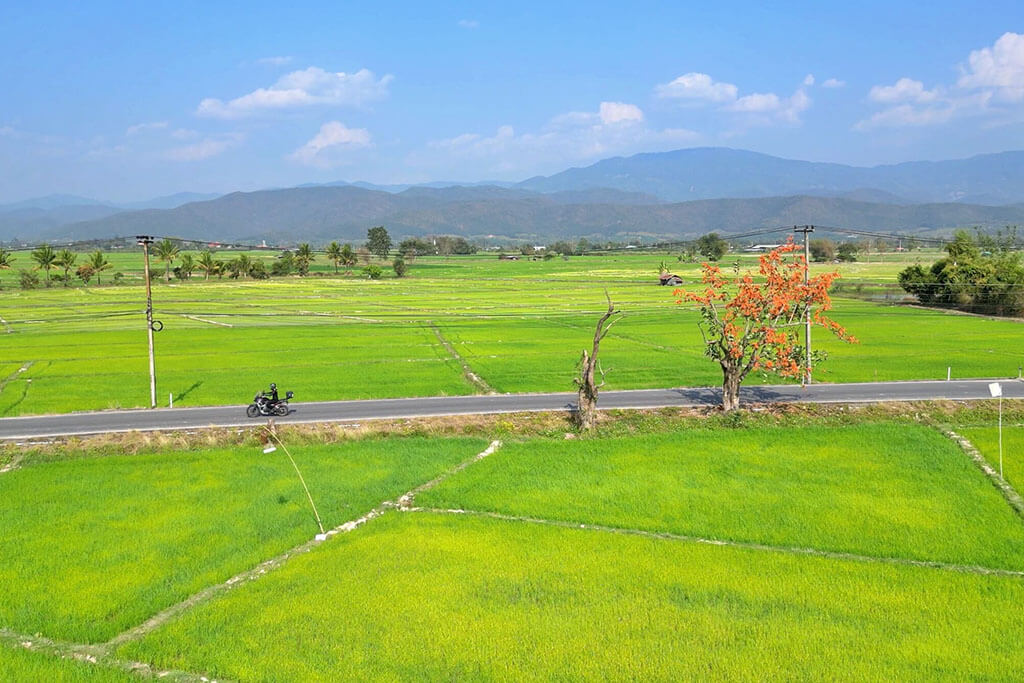 Motorcycle Tours in Thailand for Women