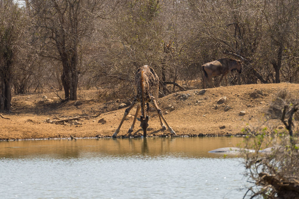 Eswatini Motorcycle Travel Guide