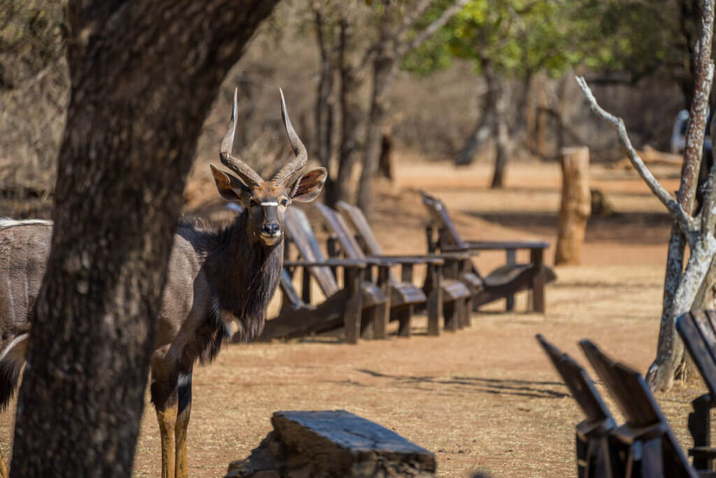 Eswatini Motorcycle Travel Guide